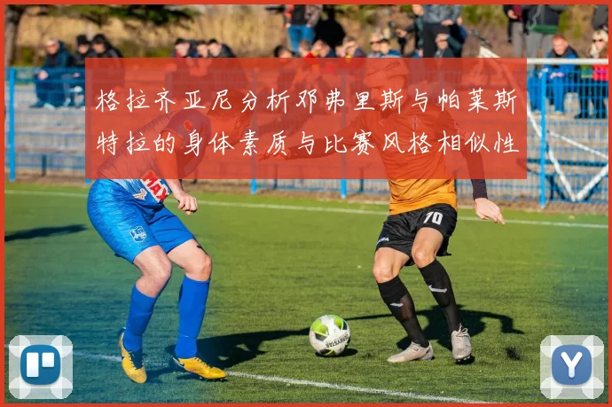 格拉齐亚尼分析邓弗里斯与帕莱斯特拉的身体素质与比赛风格相似性
