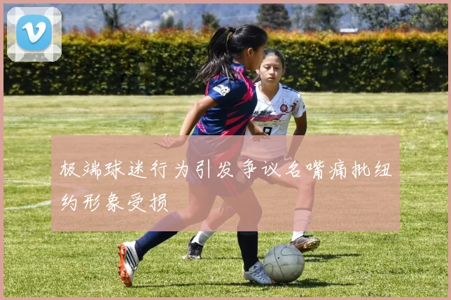 极端球迷行为引发争议名嘴痛批纽约形象受损